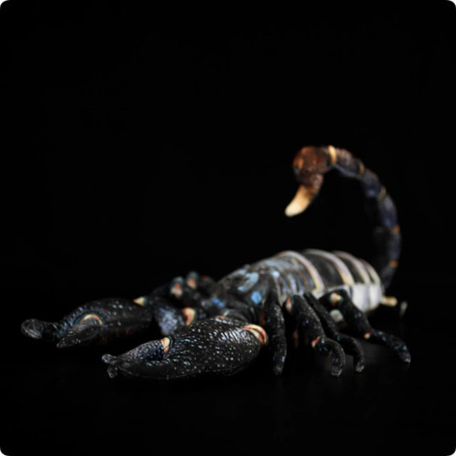 Skorpion kuscheltier - skorpion, 48