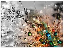 ARTLAND Wandbild Farbenfrohe Natur Blumen, Alubild, Outdoorbild  60 x 80 cm