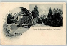 13902612 - Fiez Institut Ray Haldimann le Cedre Gradson Waadt / Vaud VD 1910