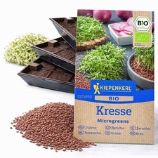 Samenshop24® BIO Keimsprossen