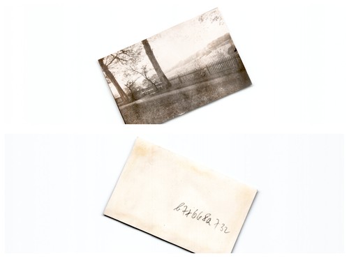 Danzig 1903 - ,