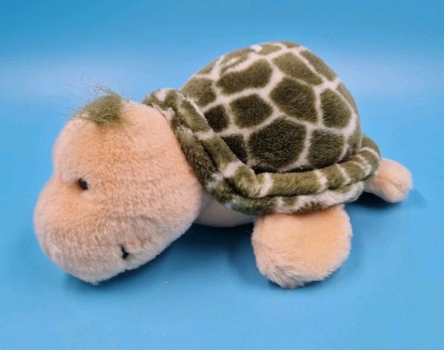 Nici schildkröte esmeralda - nici,