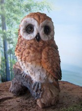 Eule stehend auf Baumstamm Ast