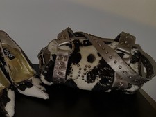 Dolce&Gabbana Vintage