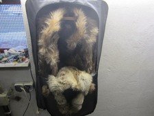 Damen Echt Pelz Jacke Gr.36