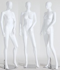 männliche weibliche