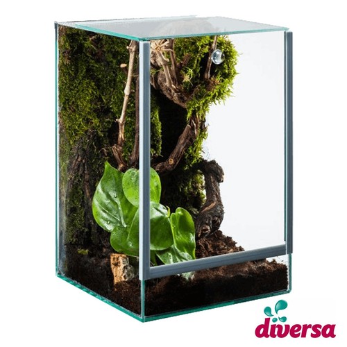 Terrarium 20x20x30cm glas - terrarium,
