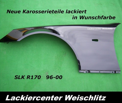 Kotflügel lackiert - kotflÜgel, in