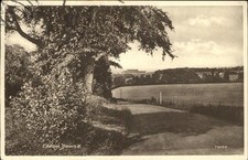 Epsom New Hampshire Downs