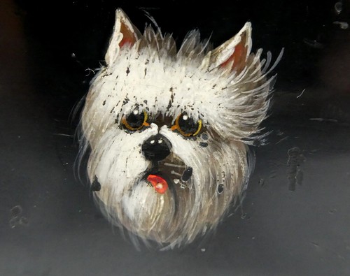 Westie west highland terrier - westie,