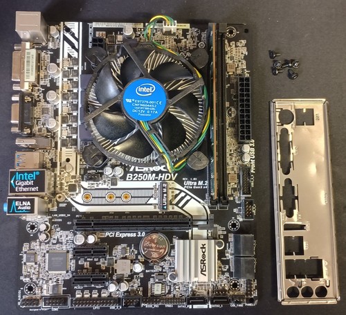 Asrock b250m hdv - incl., intel