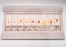 Histologie Mikroskop Objektträger Set professionell aufbereitet etikettiertes Urogenitalsystem