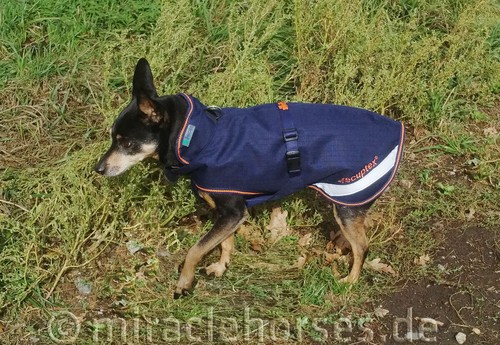 Bucas therapy hundemantel mit - hundemantel,