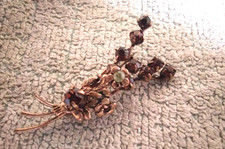 Alte schöne Jugendstil