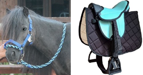 Komplettes reitsattel set - reitsattel,
