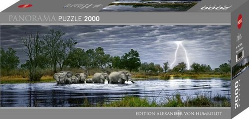Herd elephants alex - herd,