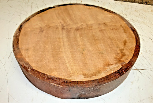 330x50mm lot 56b london plane - lot,