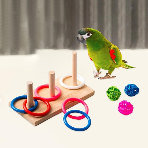 Mini papagei vogelring - papagei,