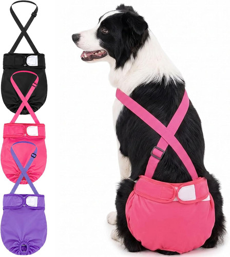 Wiederverwendbare hundewindeln - wiederverwendbare,