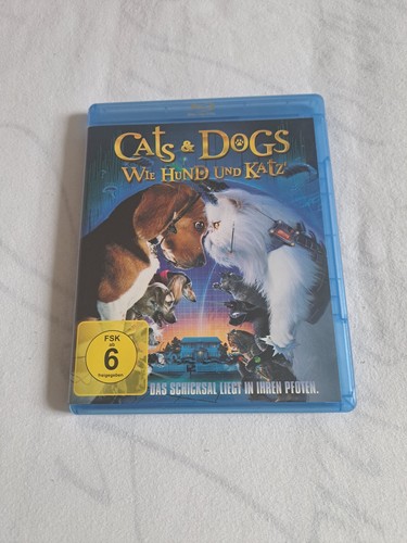 Cats dogs wie hund und - cats,
