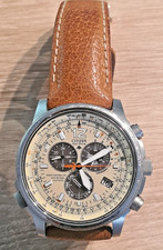 Citizen Promaster Sky