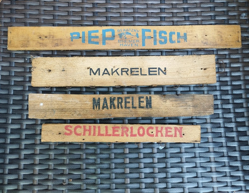 Holzschilder fisch piep - 4x,