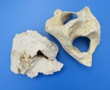 florari 1kg Lochgestein