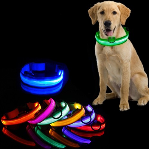 Leuchthalsband für hunde - leuchthalsband,