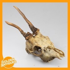 alter Vintage Hirsch Hirsch