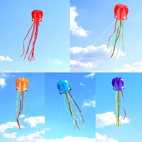 Octopus kite line software - 4m,
