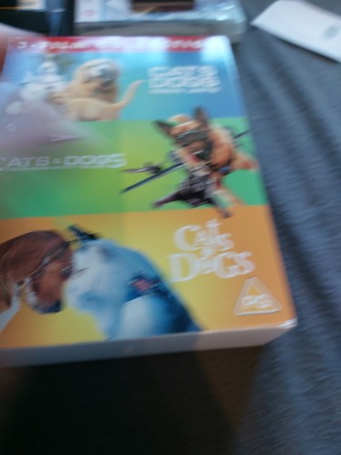 Cats and dogs bis - and,
