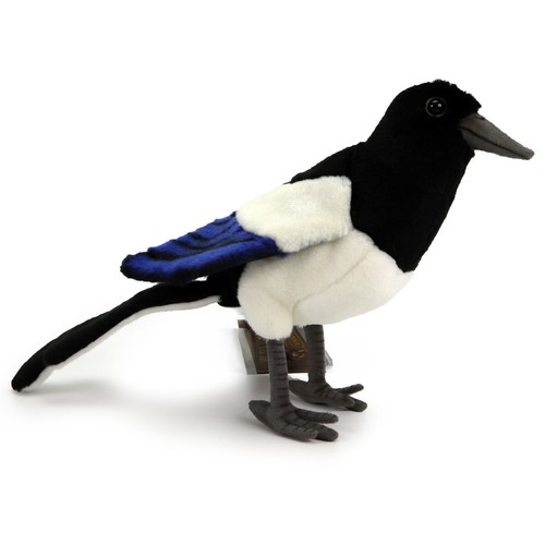 Elster 33cm vogel rabenvogel - vogel,