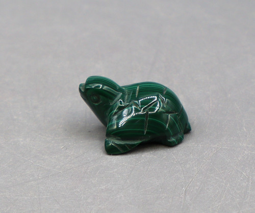 Malachit schildkröte 25 - schildkröte,