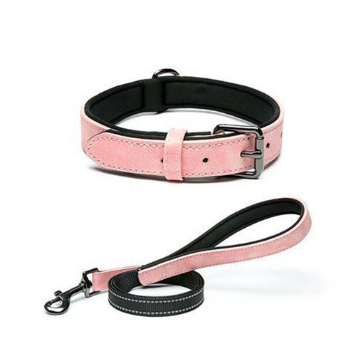Hundehalsband und leine - hundehalsband, set