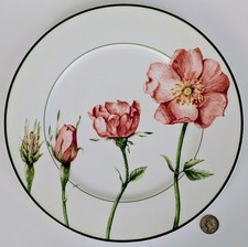 Villeroy & Boch Rose and Poppy
