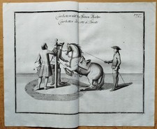 Cavendish Pferde Reiten Reitschule Kupferstich Courbetten Rechts Nr. 5 - 1700