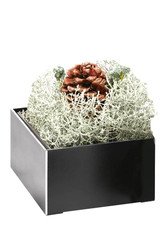 Moderne  Grabschale aus