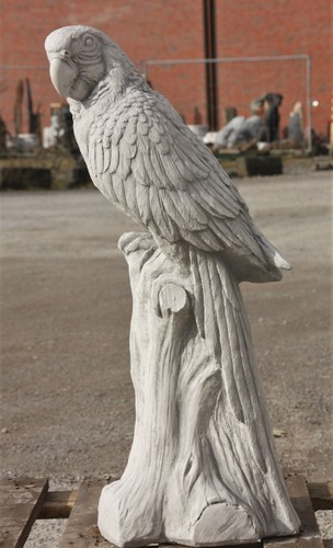 Papagei auf baumstamm vogel - auf,