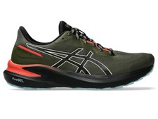 Asics GT 1000 13 TR Herren