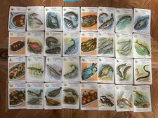 Quartett Köstlichkeiten aus