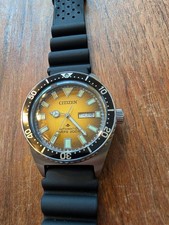 Citizen NY0120-01X Promaster