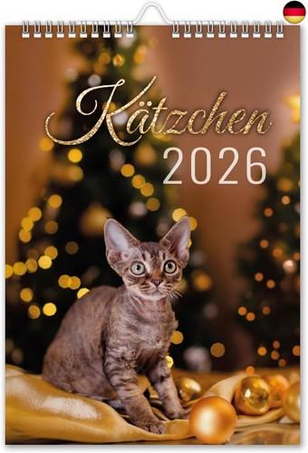 Kalender 2026 katzen - kalender,