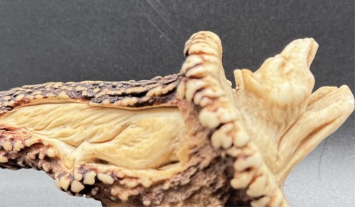 Alter hirschhorn - ,