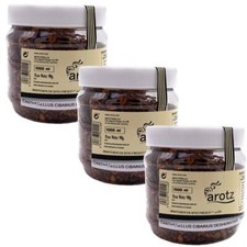 Getrocknete wilde pfifferlinge - wilde,