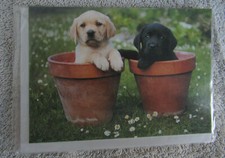 7 Briefkarten, 7 Umschläge, Labrador Retriever Welpen Motiv Otter House OVP