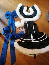 Cosplay Kostüm - unbekannt Schuluniform? 