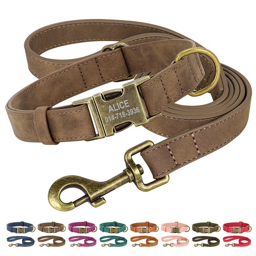 Hundehalsband und leine set - und,