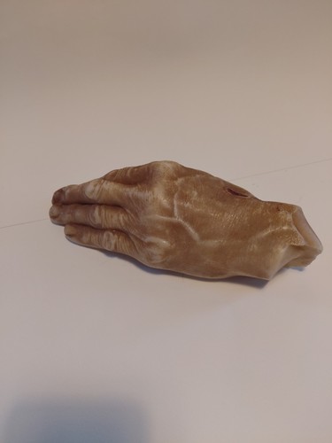 Medizinisches handmodell - medizinisches,
