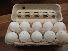 10 ausgeblasene Hühnereier
