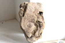 Schwemmholz Treibholz Skulptur